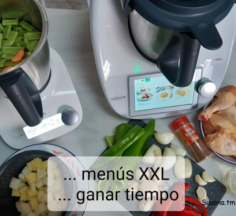 TM6 y Thermomix Friend