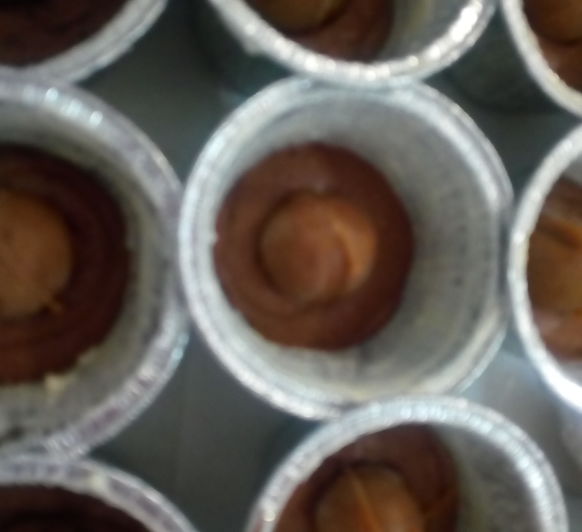 Bizcochito de chocolate con núcleo líquido de avellanas (tipo ''coulant'').