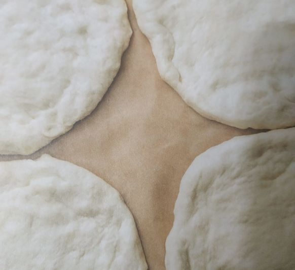 Masa de Pizza básica