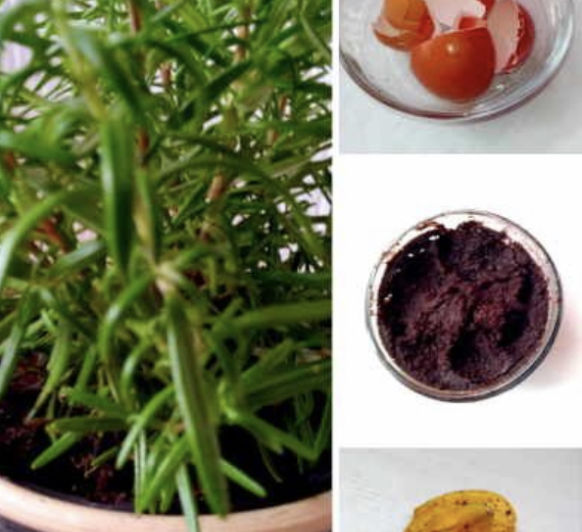 ABONO PARA PLANTAS BY Thermomix®